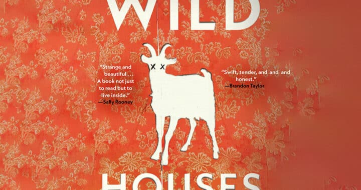 Colin Barrett’s Debut Novel ‘Wild Houses’ Unfolds Predictably